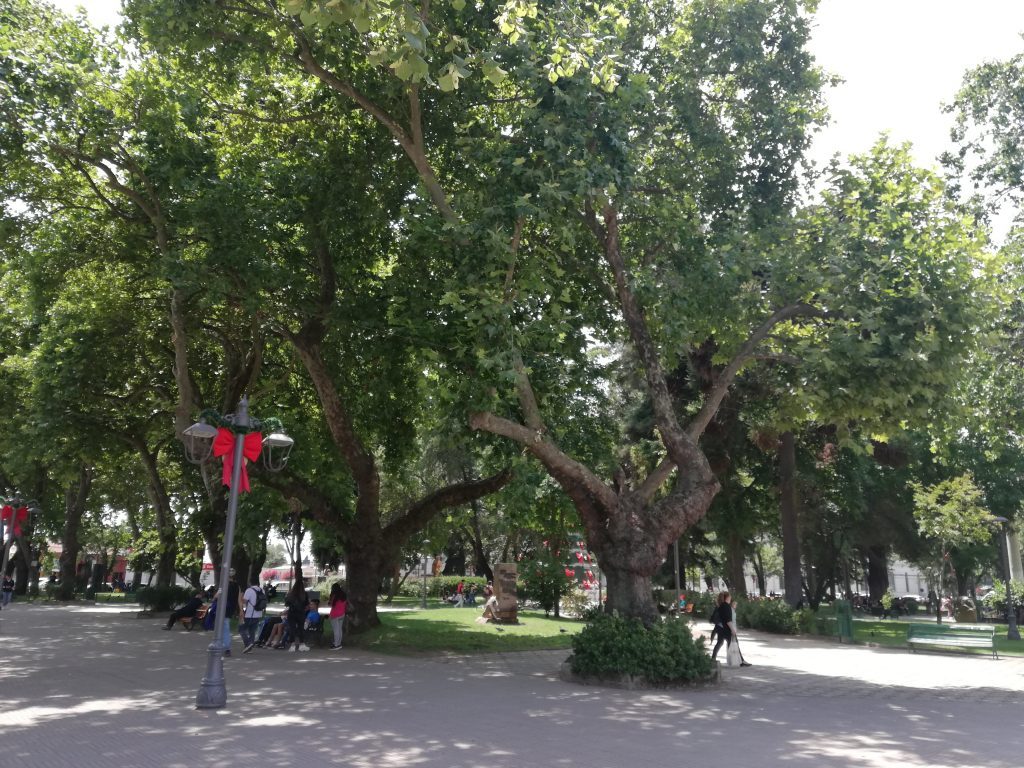Plaza de Armas Linares