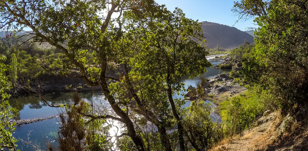 sol entre los arboles sobre el rio en otoño
