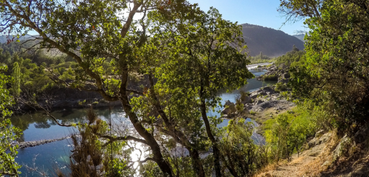sol entre los arboles sobre el rio en otoño